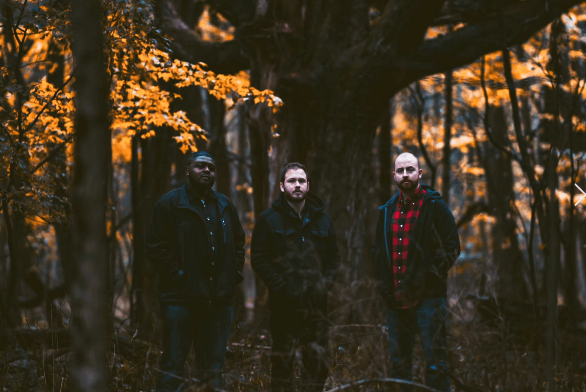 Moths in the Attic band photo